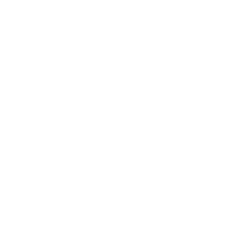 basc logo basc certificación carga pesada